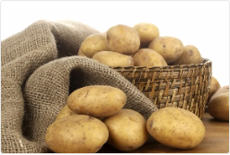 image-20260210164018732